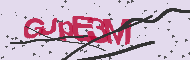 Captcha認証コード